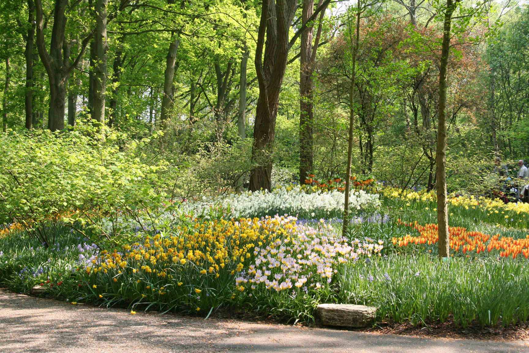 Holland - Spring 2007